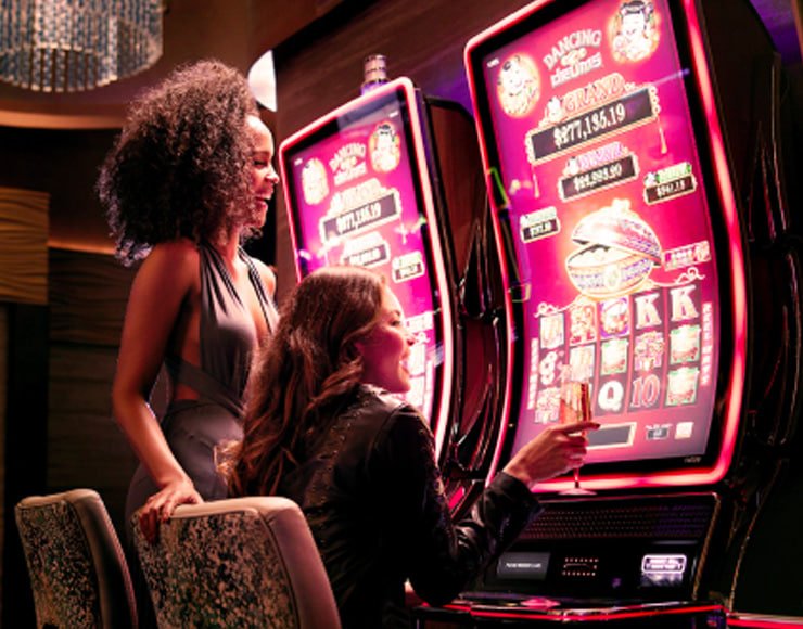 Microgaming slot game interface on pgbet demo showing reel layout and bonus trigger